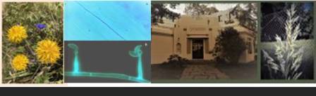 Instituto de Botánica Darwinion